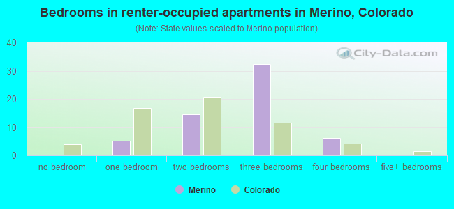 Bedrooms in renter-occupied apartments in Merino, Colorado