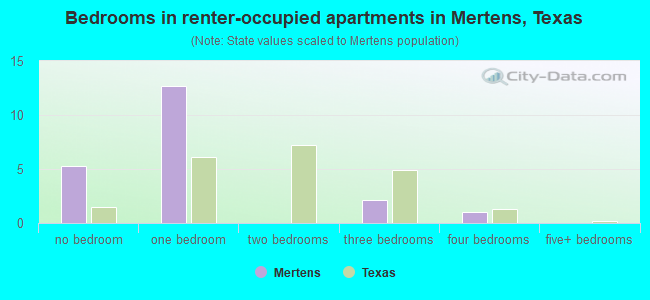Bedrooms in renter-occupied apartments in Mertens, Texas