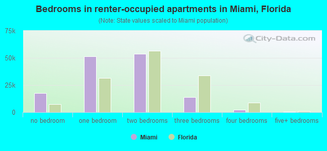Bedrooms in renter-occupied apartments in Miami, Florida