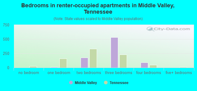 Bedrooms in renter-occupied apartments in Middle Valley, Tennessee