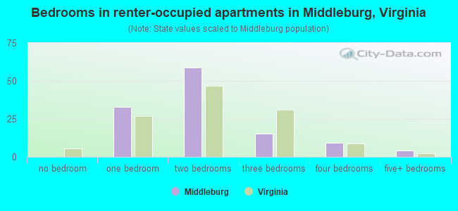 Bedrooms in renter-occupied apartments in Middleburg, Virginia
