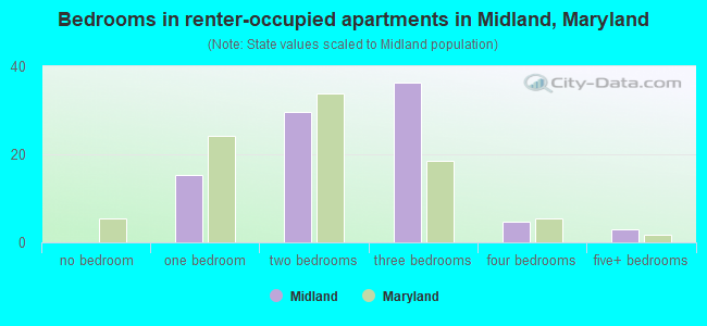 Bedrooms in renter-occupied apartments in Midland, Maryland