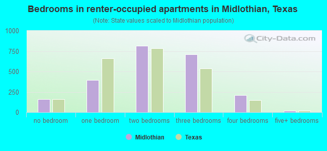 Bedrooms in renter-occupied apartments in Midlothian, Texas