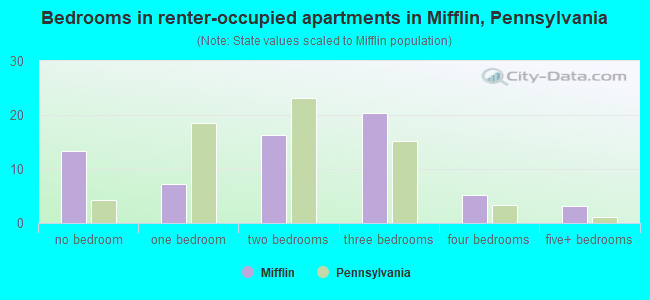 Bedrooms in renter-occupied apartments in Mifflin, Pennsylvania