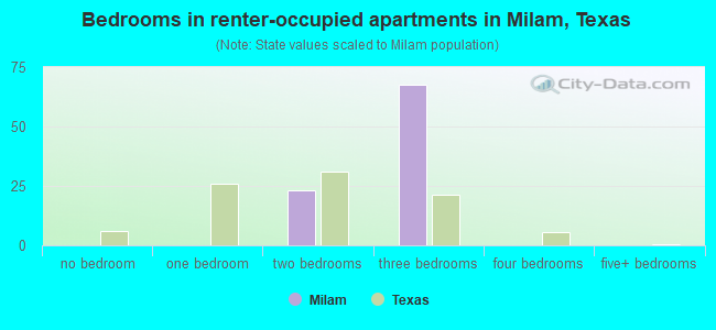 Bedrooms in renter-occupied apartments in Milam, Texas