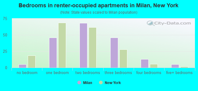 Bedrooms in renter-occupied apartments in Milan, New York