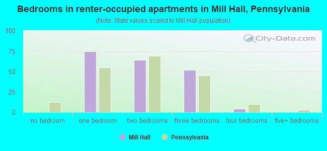 Bedrooms in renter-occupied apartments in Mill Hall, Pennsylvania