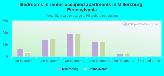 Bedrooms in renter-occupied apartments in Millersburg, Pennsylvania
