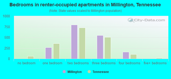 Bedrooms in renter-occupied apartments in Millington, Tennessee