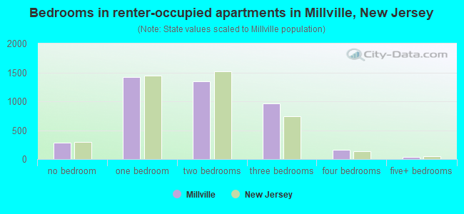 Bedrooms in renter-occupied apartments in Millville, New Jersey