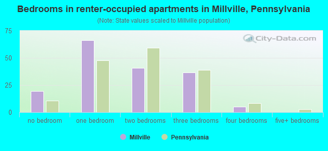 Bedrooms in renter-occupied apartments in Millville, Pennsylvania