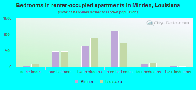 Bedrooms in renter-occupied apartments in Minden, Louisiana
