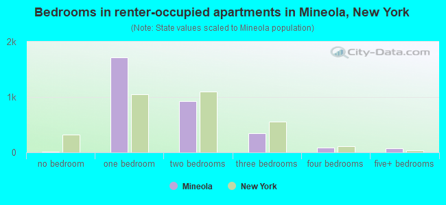 Bedrooms in renter-occupied apartments in Mineola, New York