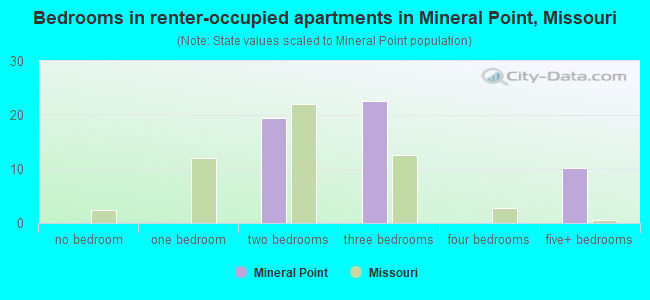 Bedrooms in renter-occupied apartments in Mineral Point, Missouri