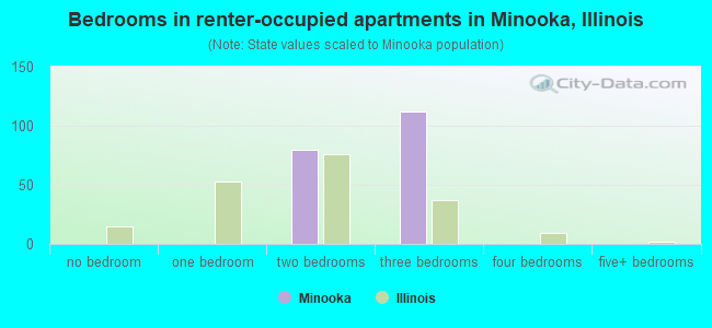Bedrooms in renter-occupied apartments in Minooka, Illinois