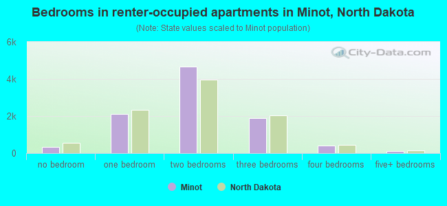 Bedrooms in renter-occupied apartments in Minot, North Dakota