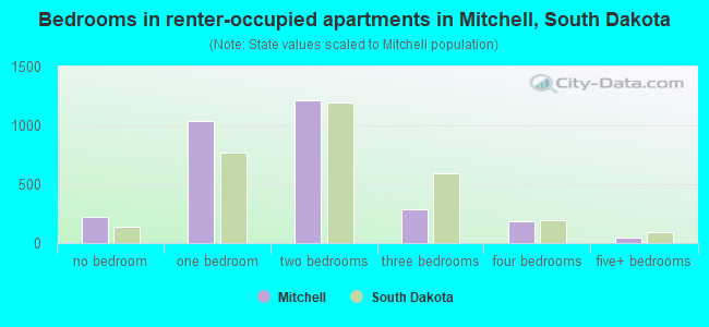 Bedrooms in renter-occupied apartments in Mitchell, South Dakota