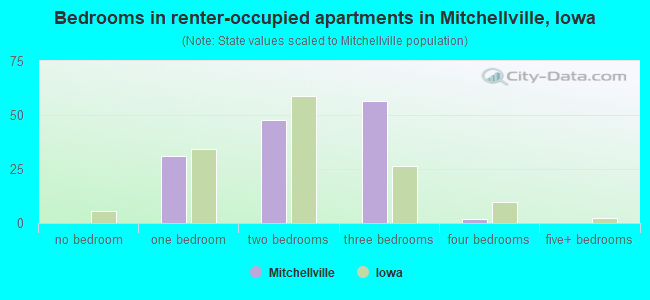 Bedrooms in renter-occupied apartments in Mitchellville, Iowa