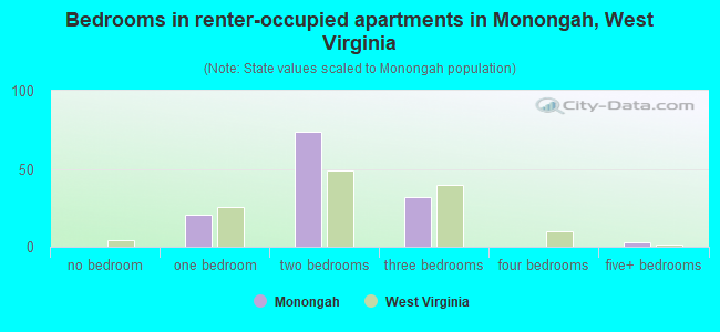 Bedrooms in renter-occupied apartments in Monongah, West Virginia