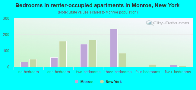 Bedrooms in renter-occupied apartments in Monroe, New York