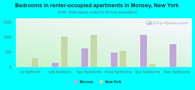 Bedrooms in renter-occupied apartments in Monsey, New York