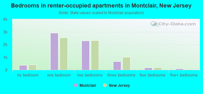 Bedrooms in renter-occupied apartments in Montclair, New Jersey