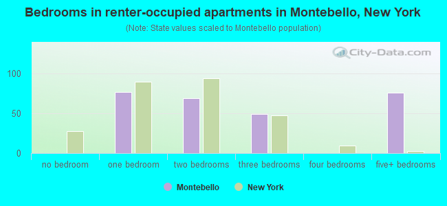 Bedrooms in renter-occupied apartments in Montebello, New York
