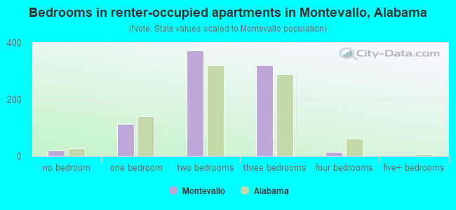 Bedrooms in renter-occupied apartments in Montevallo, Alabama