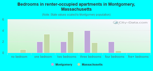Bedrooms in renter-occupied apartments in Montgomery, Massachusetts