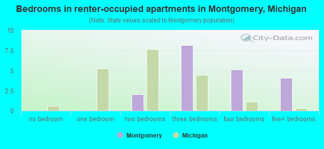 Bedrooms in renter-occupied apartments in Montgomery, Michigan