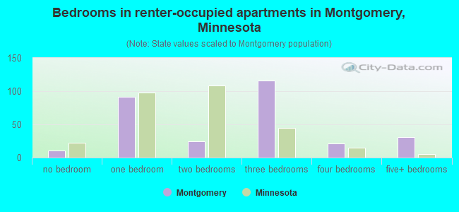 Bedrooms in renter-occupied apartments in Montgomery, Minnesota