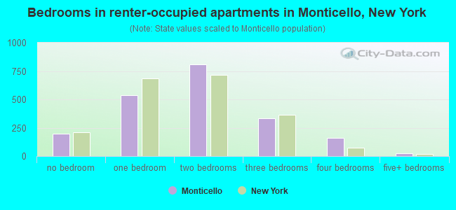 Bedrooms in renter-occupied apartments in Monticello, New York