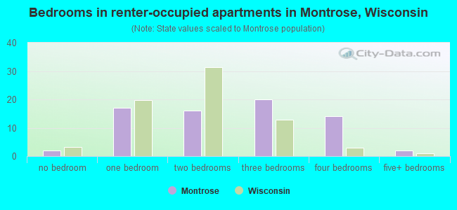 Bedrooms in renter-occupied apartments in Montrose, Wisconsin