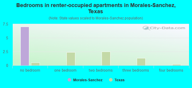 Bedrooms in renter-occupied apartments in Morales-Sanchez, Texas