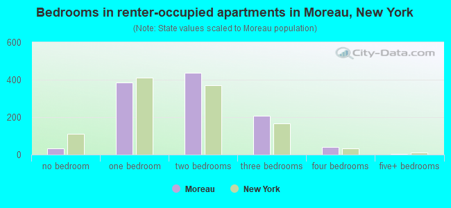 Bedrooms in renter-occupied apartments in Moreau, New York