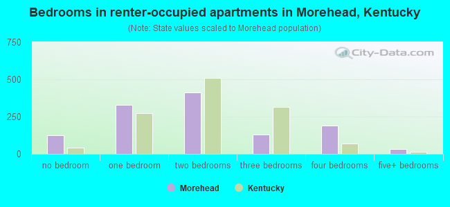 Bedrooms in renter-occupied apartments in Morehead, Kentucky