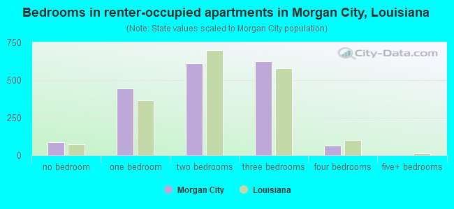 Bedrooms in renter-occupied apartments in Morgan City, Louisiana