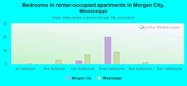 Bedrooms in renter-occupied apartments in Morgan City, Mississippi