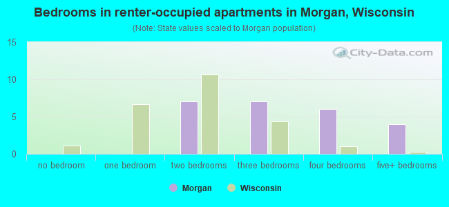 Bedrooms in renter-occupied apartments in Morgan, Wisconsin