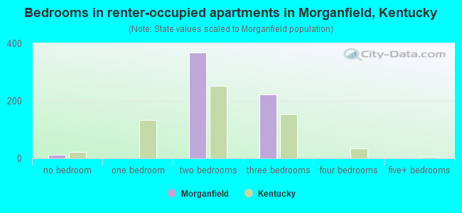 Bedrooms in renter-occupied apartments in Morganfield, Kentucky
