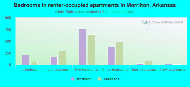 Bedrooms in renter-occupied apartments in Morrilton, Arkansas