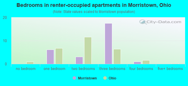 Bedrooms in renter-occupied apartments in Morristown, Ohio