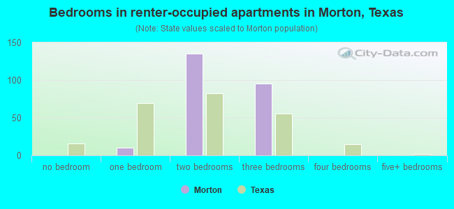 Bedrooms in renter-occupied apartments in Morton, Texas