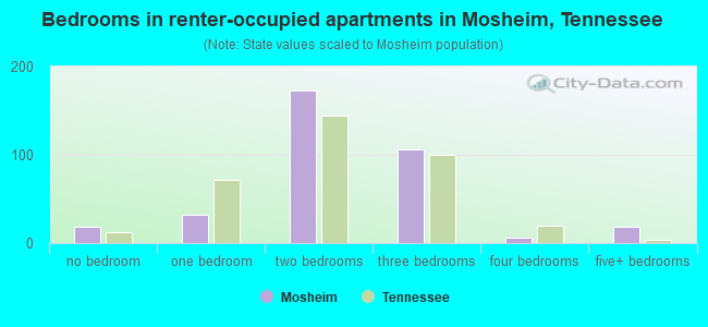 Bedrooms in renter-occupied apartments in Mosheim, Tennessee