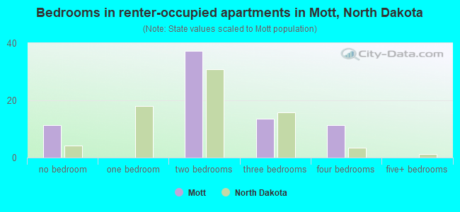 Bedrooms in renter-occupied apartments in Mott, North Dakota
