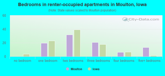 Bedrooms in renter-occupied apartments in Moulton, Iowa