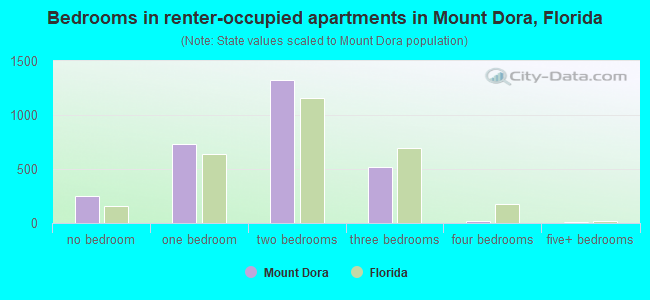 Bedrooms in renter-occupied apartments in Mount Dora, Florida