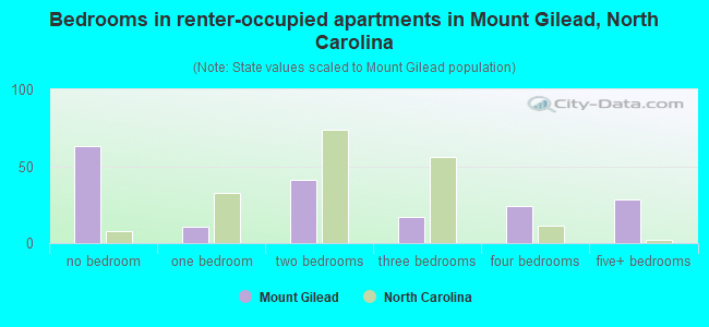 Bedrooms in renter-occupied apartments in Mount Gilead, North Carolina