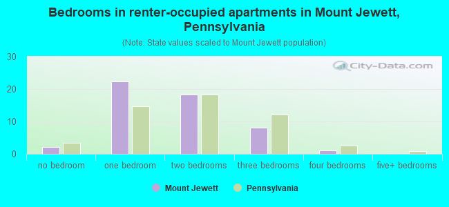 Bedrooms in renter-occupied apartments in Mount Jewett, Pennsylvania