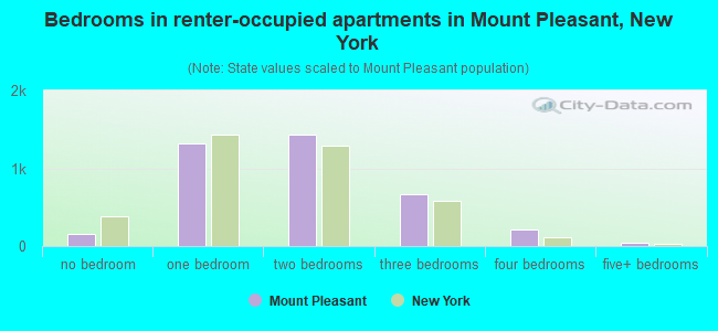 Bedrooms in renter-occupied apartments in Mount Pleasant, New York